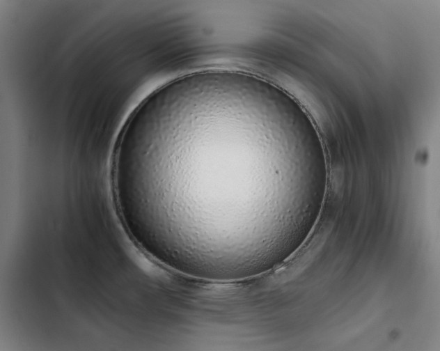 X0000103331482200809051158