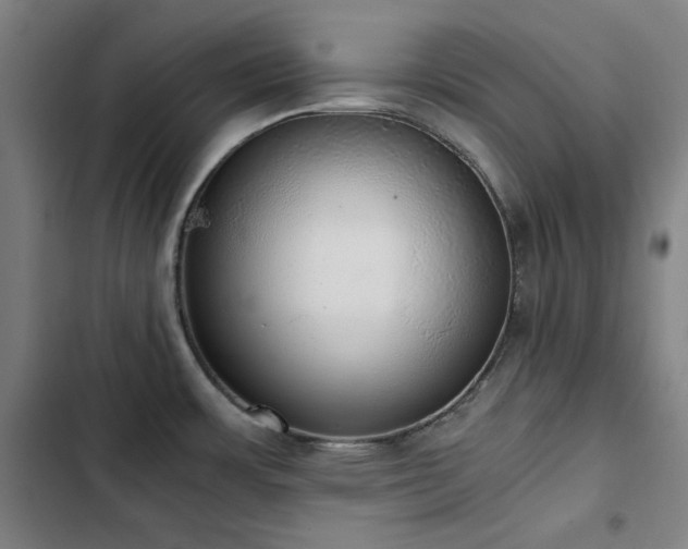 X0000103331483200809051158