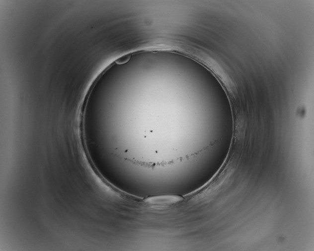 X0000103331484200809051158