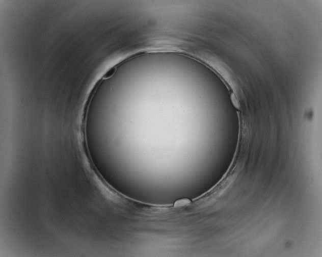 X0000103331485200809051158