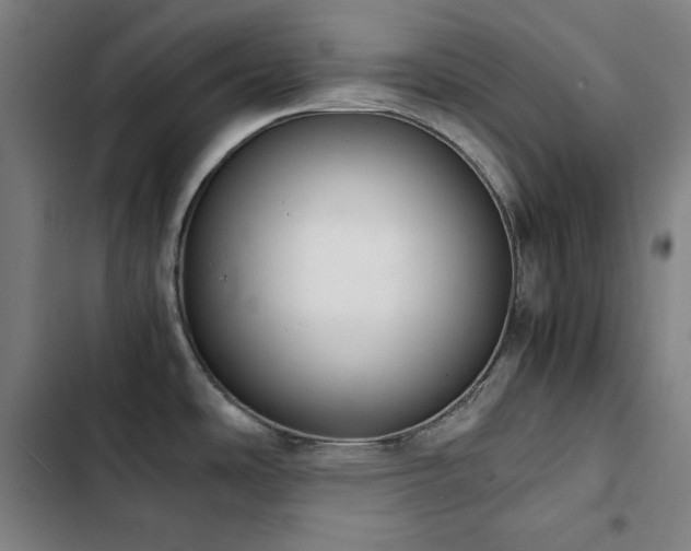 X0000103331486200809051158