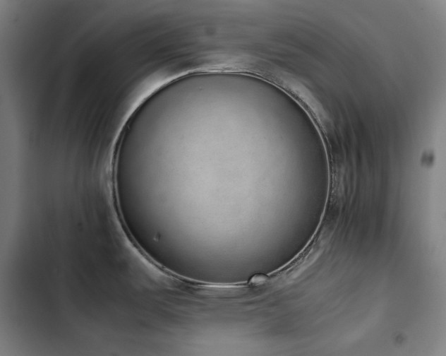 X0000103331487200809051158