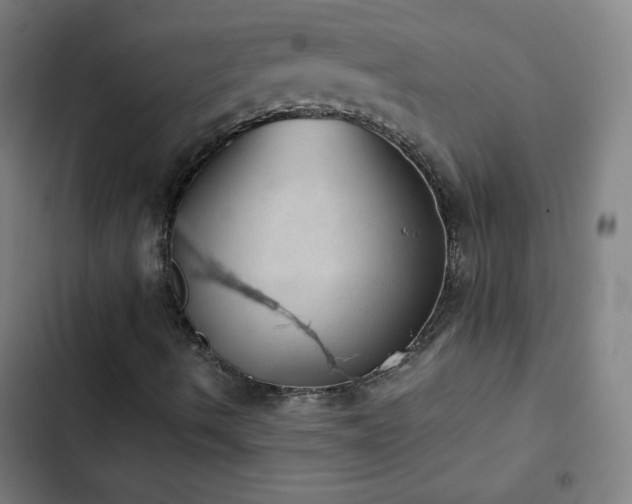 X0000103331490200809051157