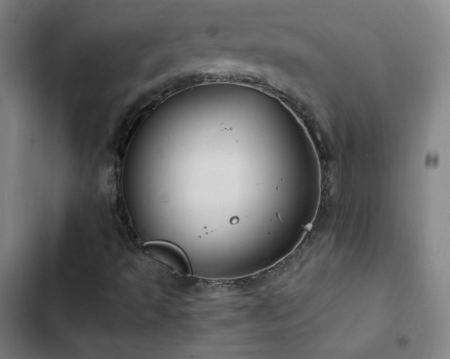 X0000103331493200809051157