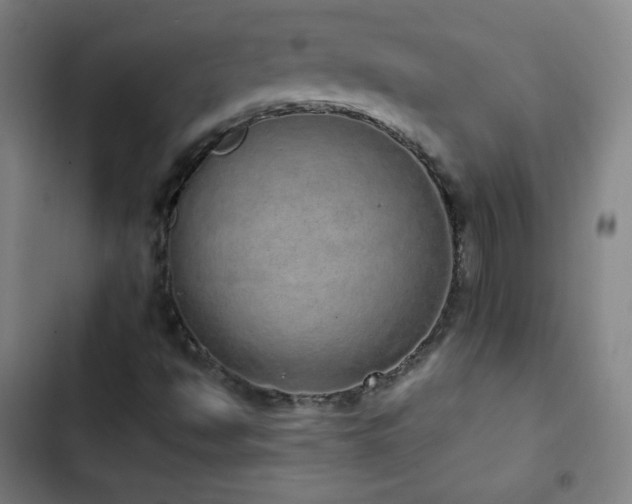 X0000103331494200809051157