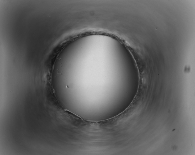 X0000103331495200809051157