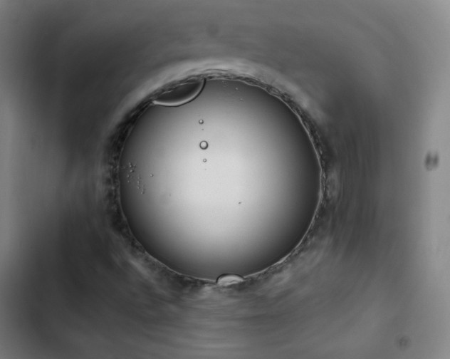 X0000103331496200809051157