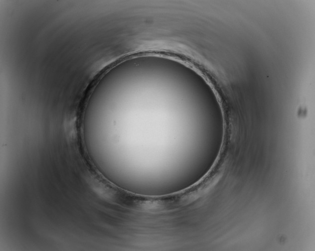 X0000103331497200809051157