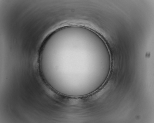X0000103331498200809051157
