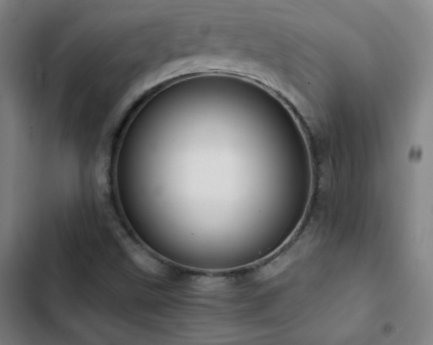 X0000103331499200809051157