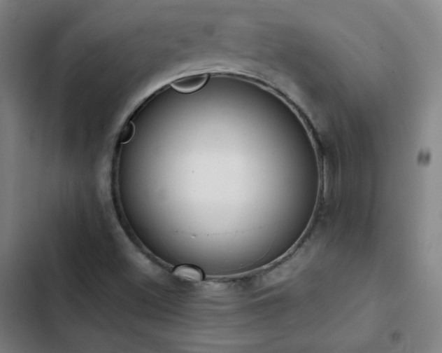X0000103331500200809051157