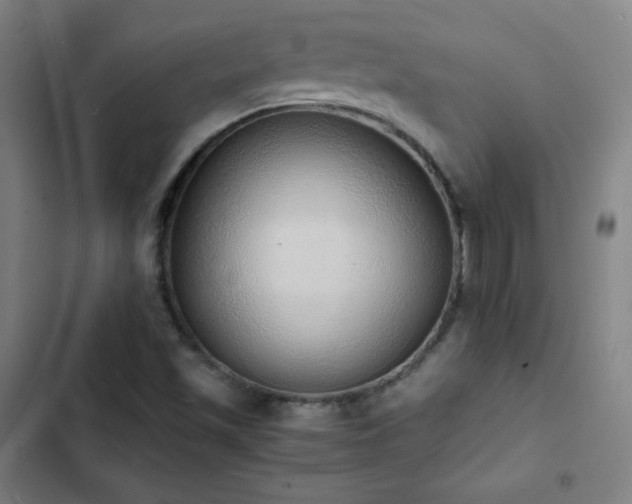 X0000103331501200809051157
