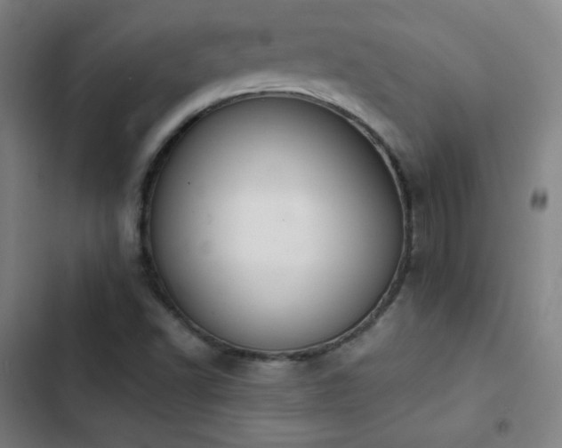 X0000103331502200809051157