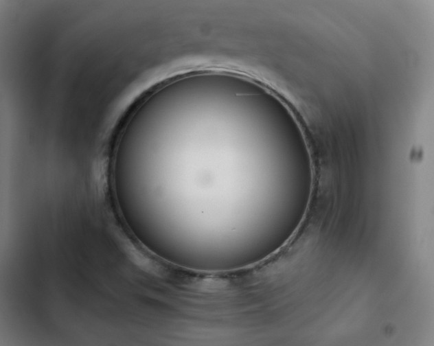 X0000103331503200809051157