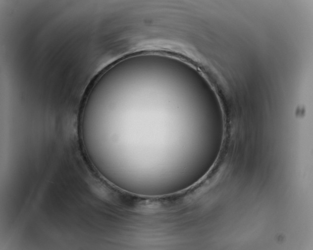 X0000103331505200809051157