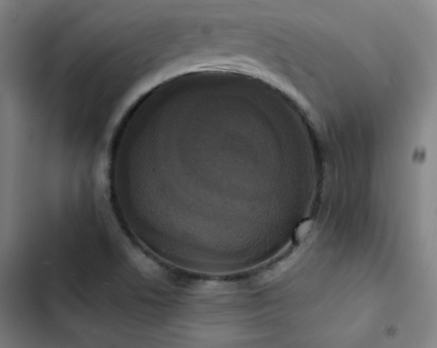 X0000103331506200809051157