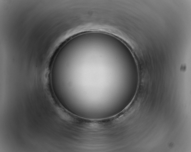 X0000103331507200809051157