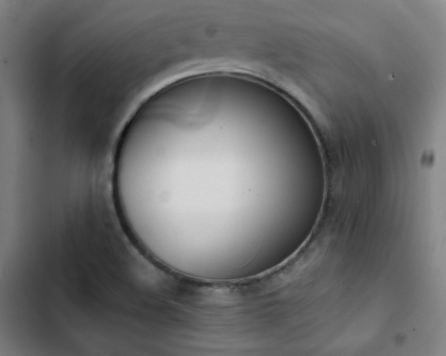 X0000103331508200809051157