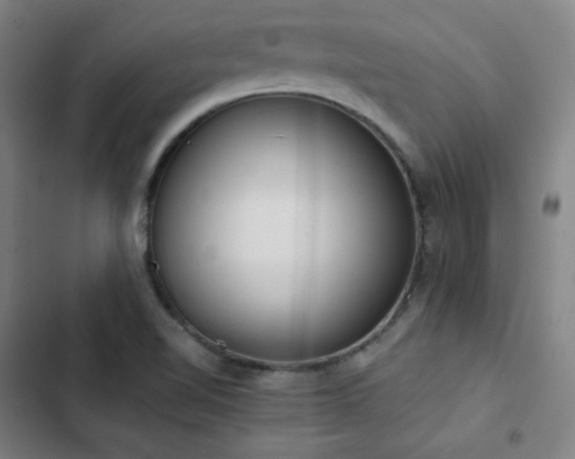 X0000103331510200809051157