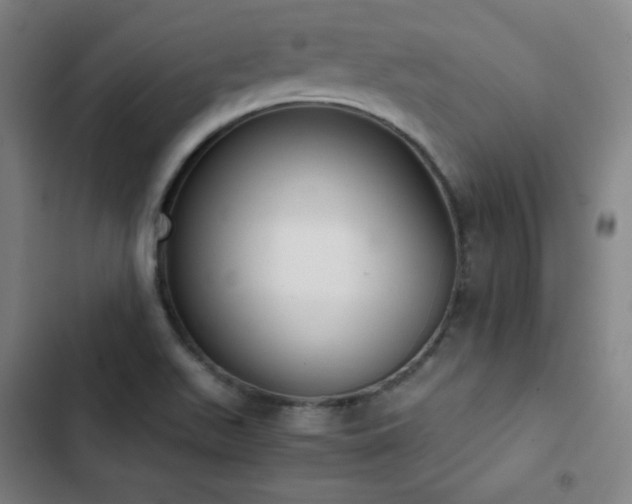 X0000103331511200809051158