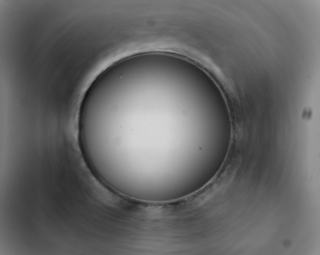 X0000103331512200809051158