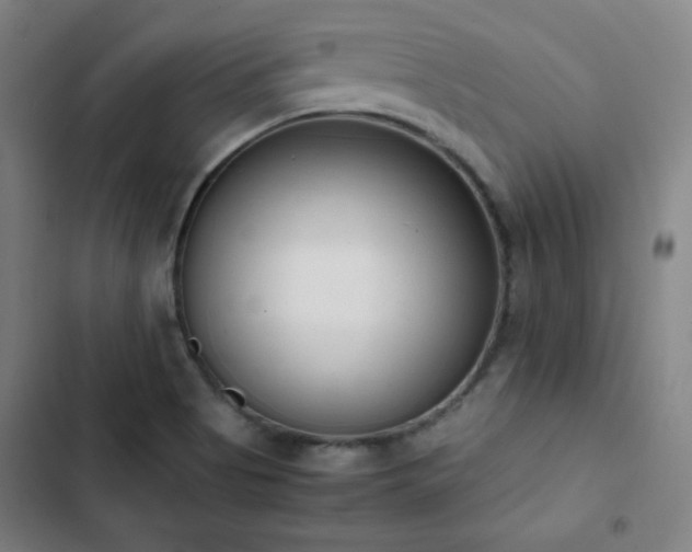 X0000103331513200809051158