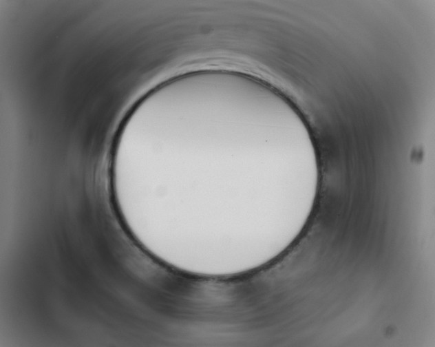 X0000103331514200809051158