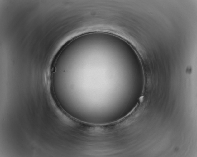 X0000103331515200809051158