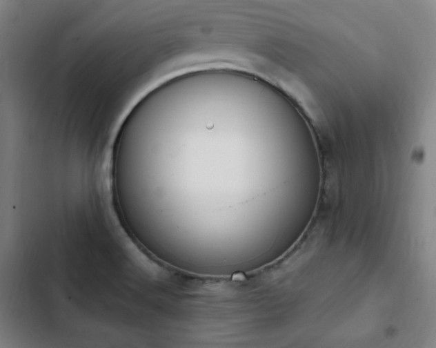 X0000103331516200809051158