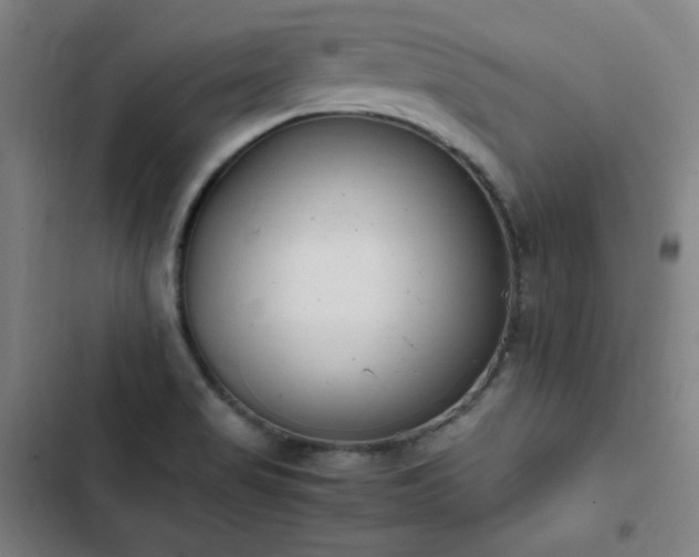 X0000103331517200809051158