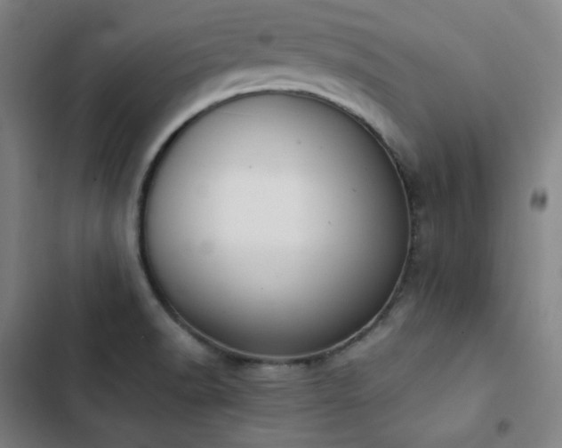 X0000103331518200809051158