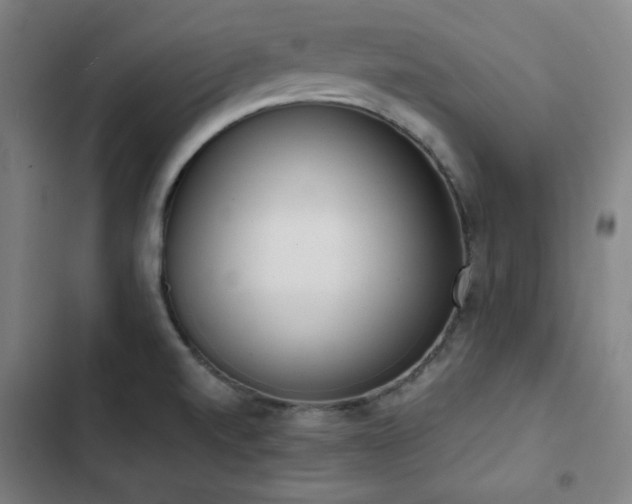 X0000103331520200809051158