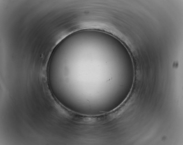X0000103331521200809051158