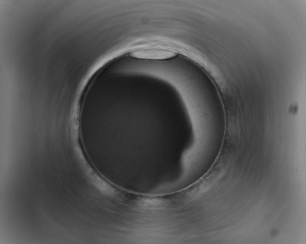 X0000103331522200809051158