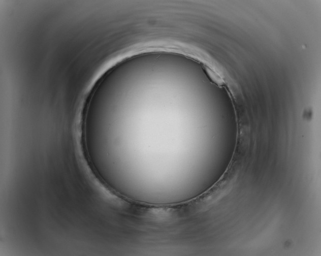 X0000103331523200809051158