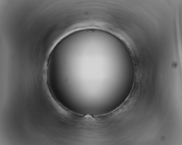 X0000103331524200809051158