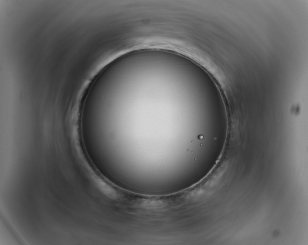 X0000103331525200809051158