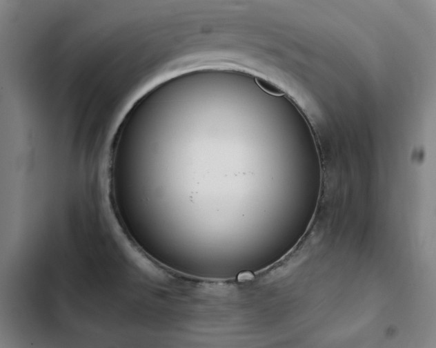 X0000103331526200809051158