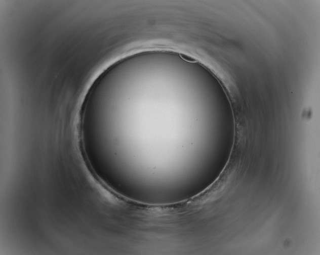 X0000103331527200809051158