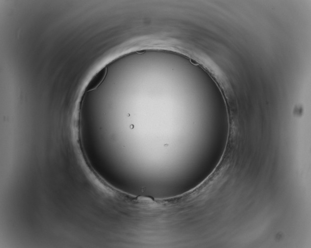X0000103331528200809051158