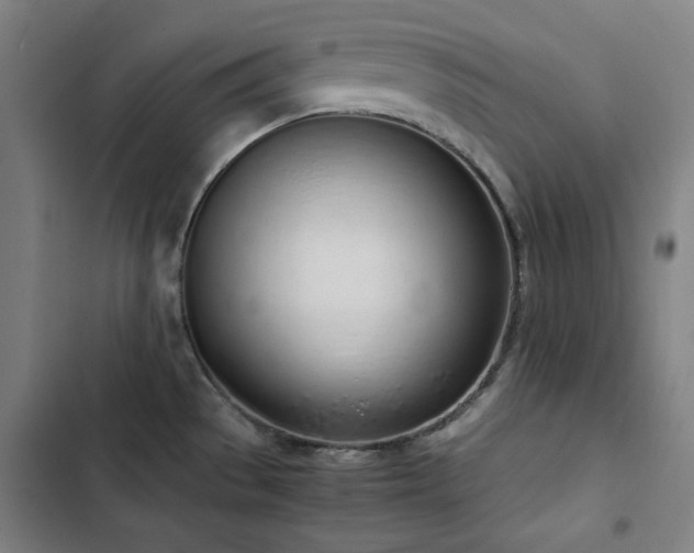 X0000103331529200809051158