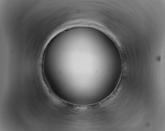 X0000103331530200809051158