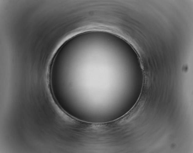 X0000103331531200809051158