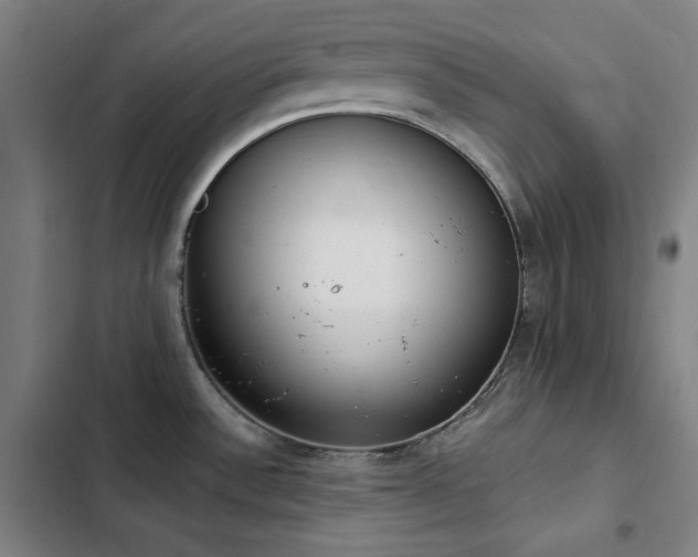 X0000103331532200809051158