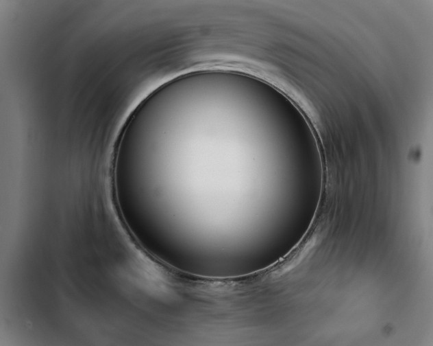 X0000103331533200809051158