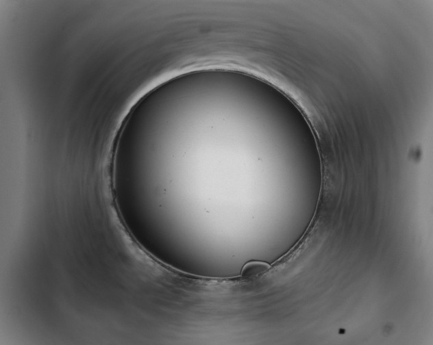 X0000103331534200809051158