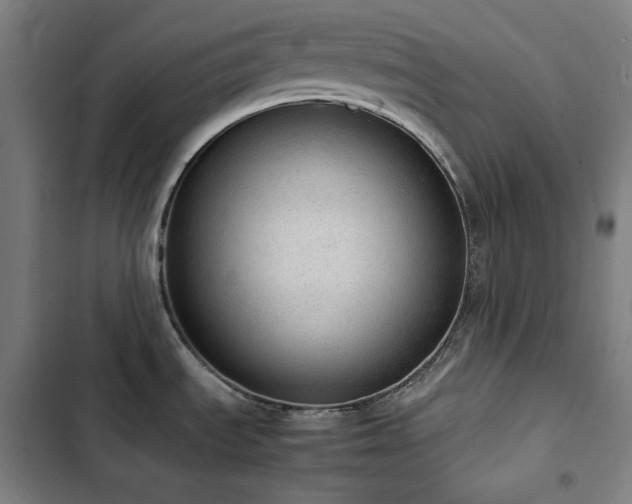 X0000103331535200809051158