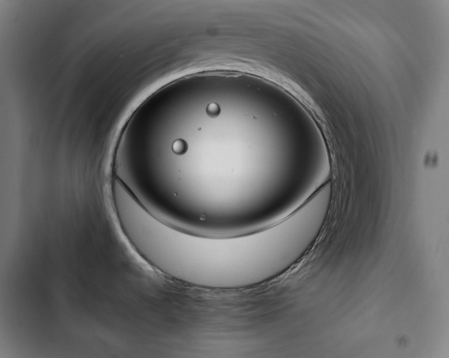X0000103331536200809051158