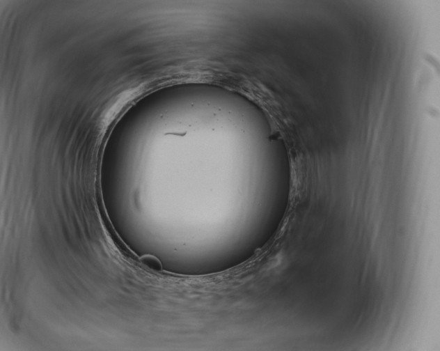 X0000103330003200809121221