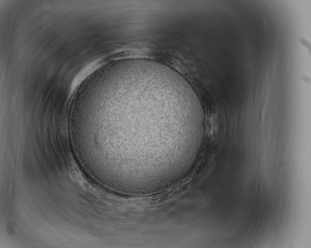 X0000103330004200809121221